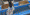case-pack.png